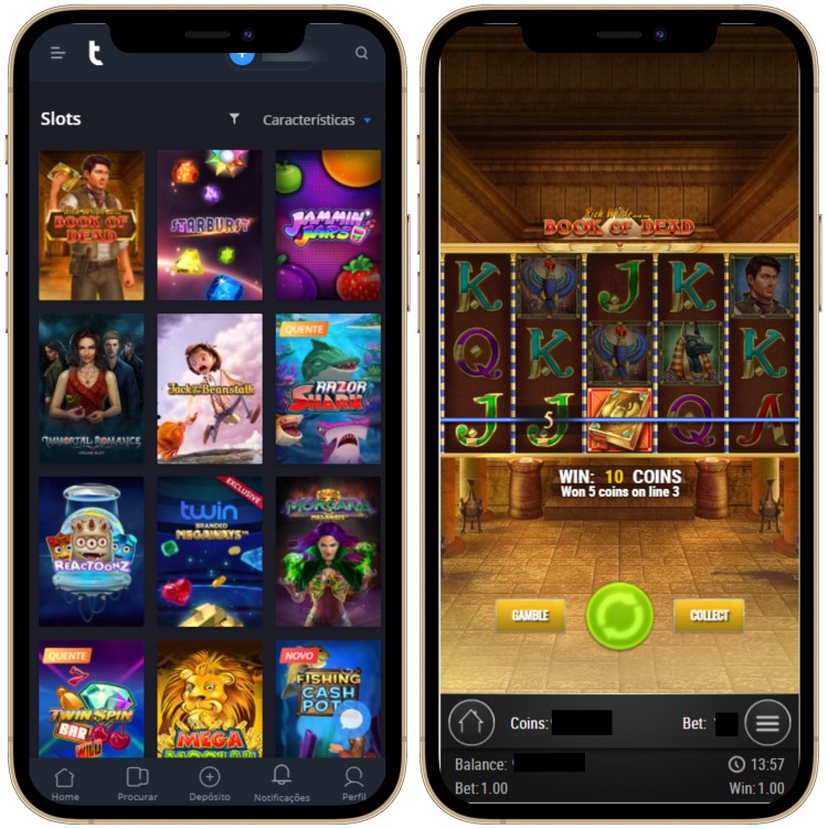 twin-casino screenshot